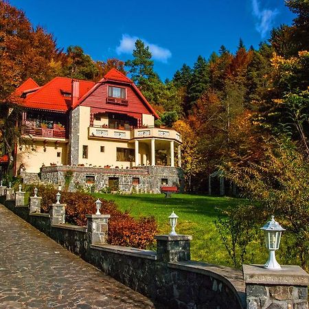 Pensiunea Boema Синая Экстерьер фото