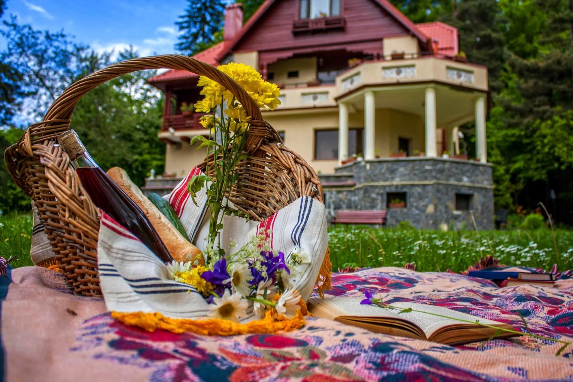 Pensiunea Boema Синая Экстерьер фото