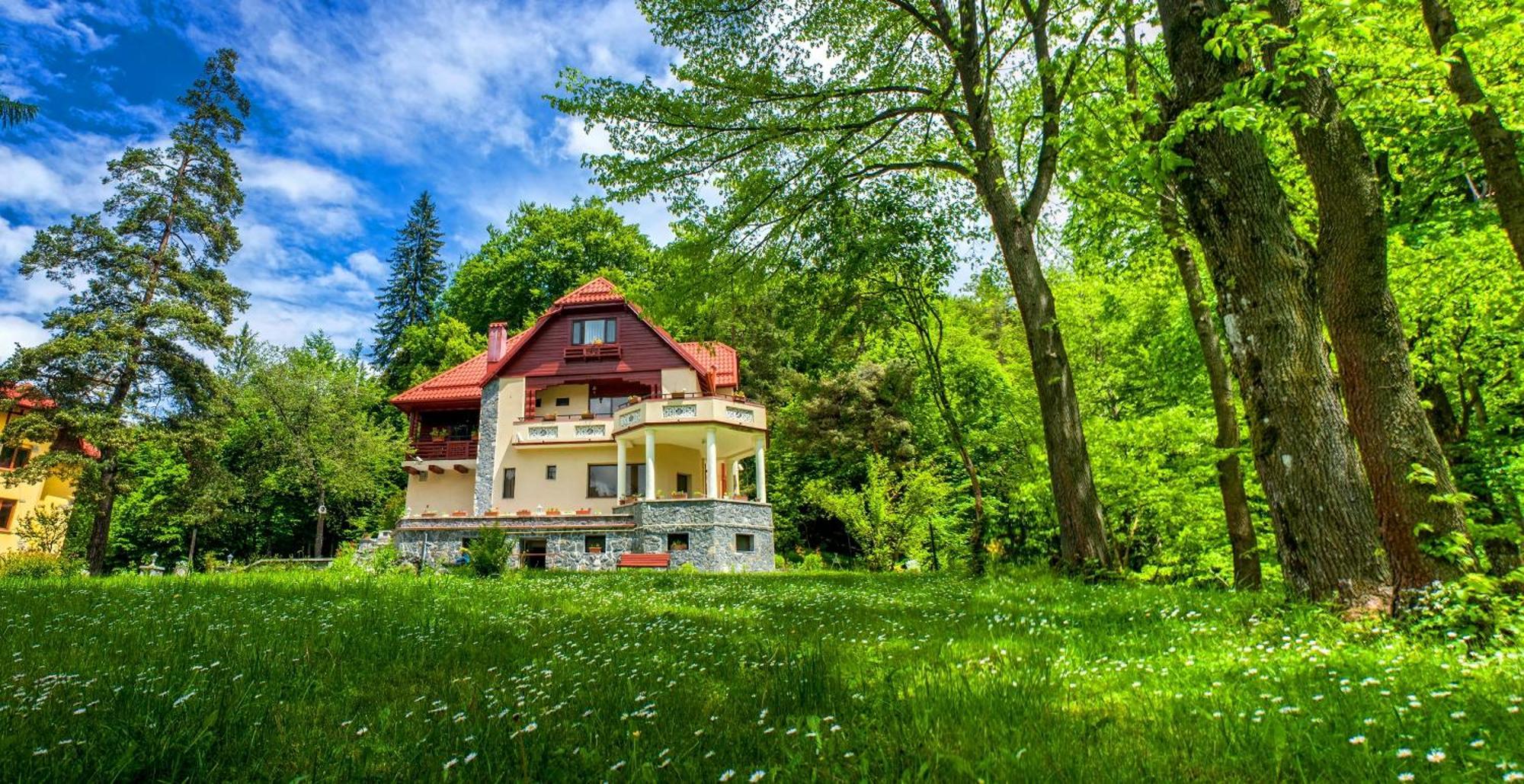 Pensiunea Boema Синая Экстерьер фото